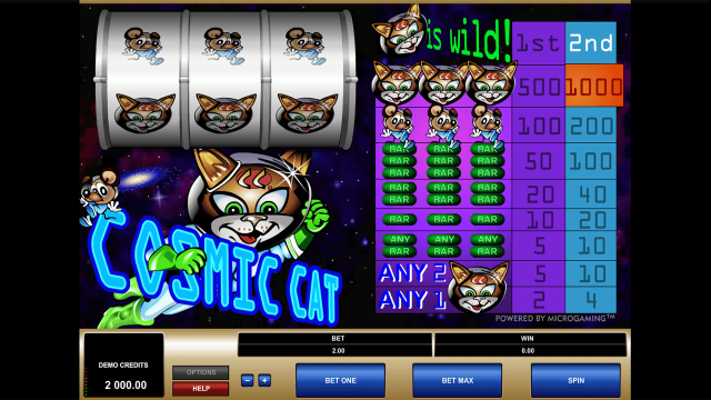 Бонусная игра Cosmic Cat 1